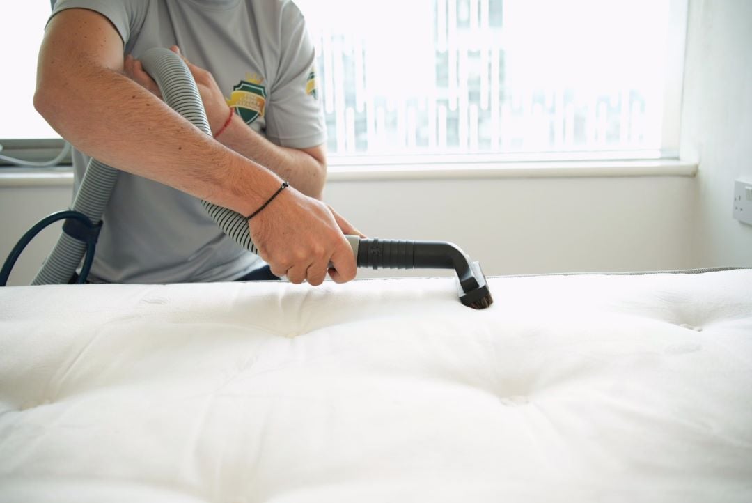 Mattress Cleaning Dubai – Expert Bed Bug Removal &amp; Sanitizing